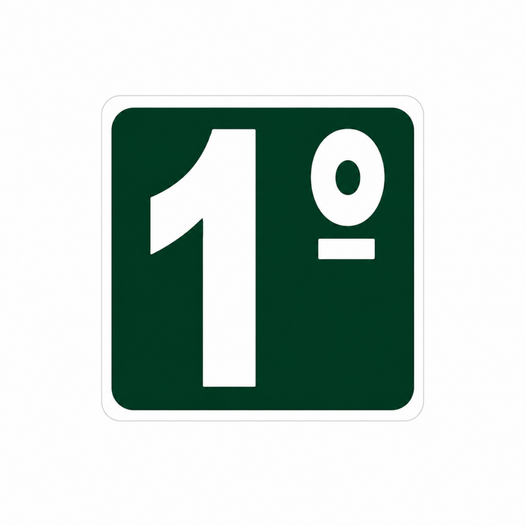 PLACA FOTOLUMINESCENTE – S17 1º